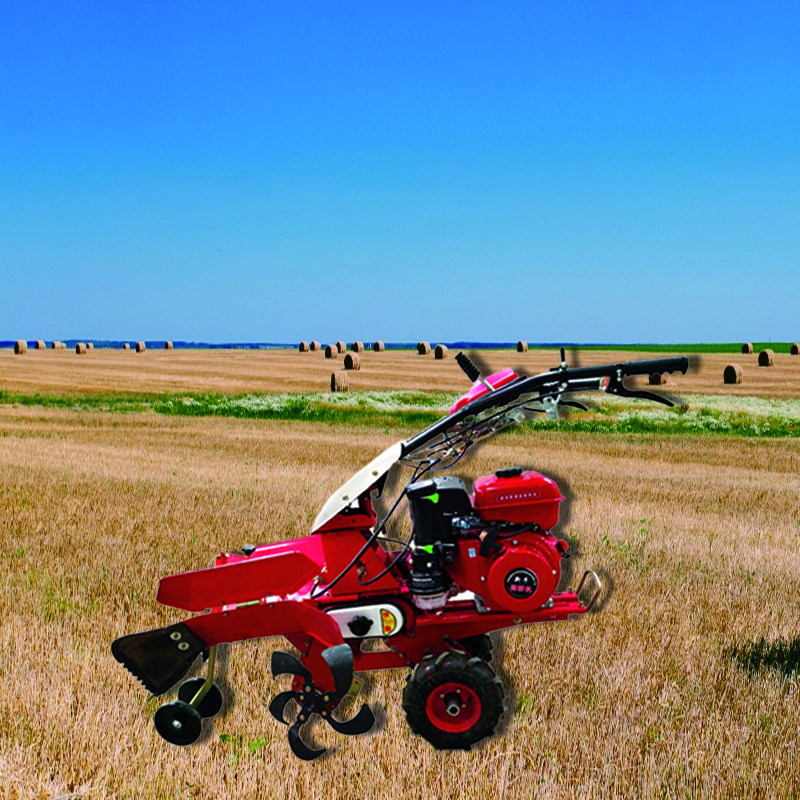 培土機(jī)3TGQ-5QB